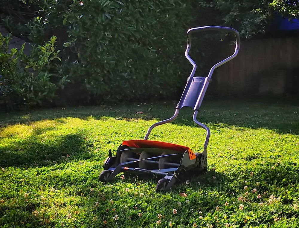 Can a Lawn Mower Pick up Leaves? What You Need To Know! Grea Vision