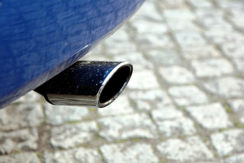 Muffler vs. Exhaust Is There a Difference? Grea Vision
