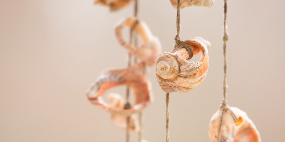 Seashell Indoor String Lights_Branislav Cerven_Shutterstock