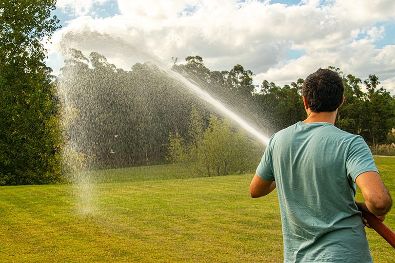 Watering Lawn with hose