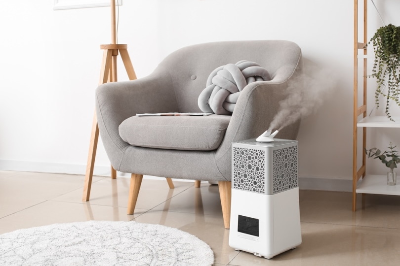 What Do Humidifiers Do and How Do They Work? Grea Vision