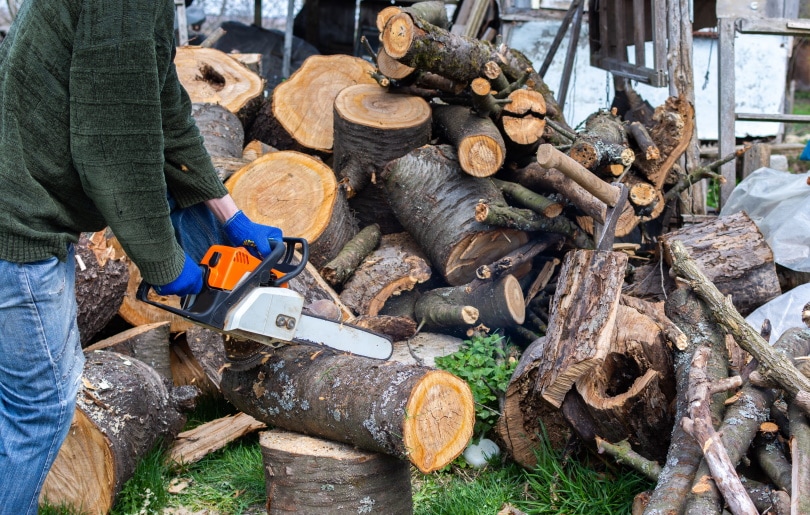 man cutting cherry wood