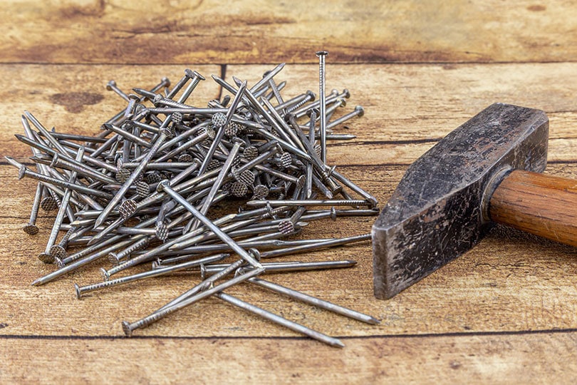 nails and hammer on wooden surface