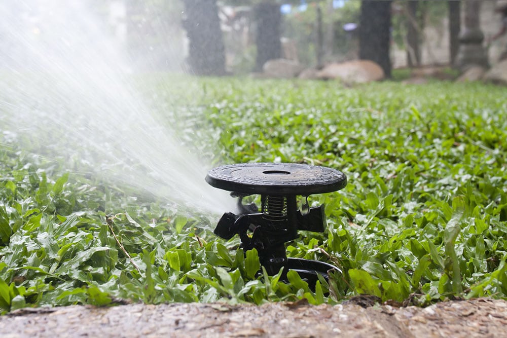 pop-up sprinkler watering the grass