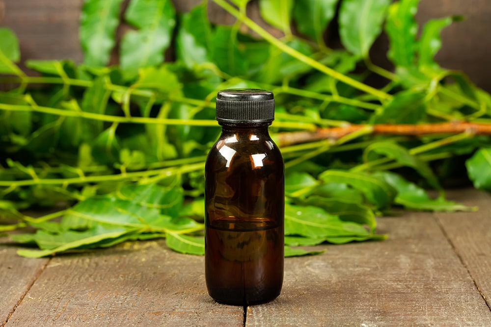 Neem oil in a bottle