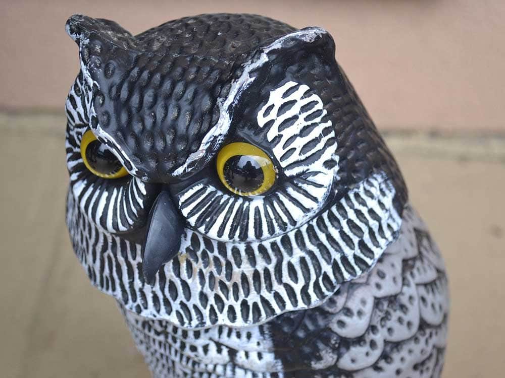 Owl decoy statue