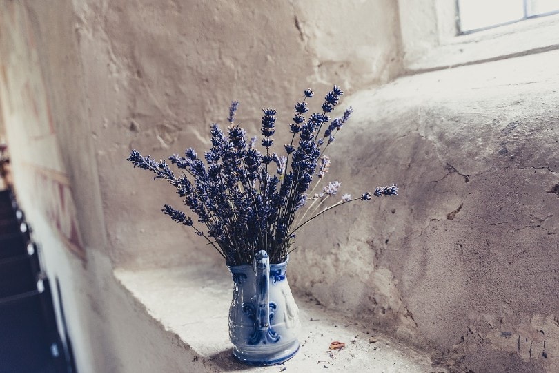 a vase of lavenders indoors