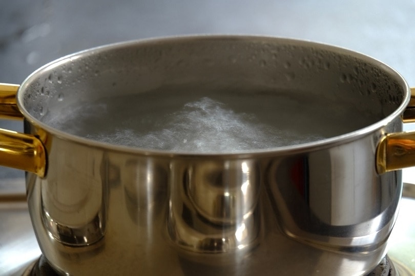 boiling water pot