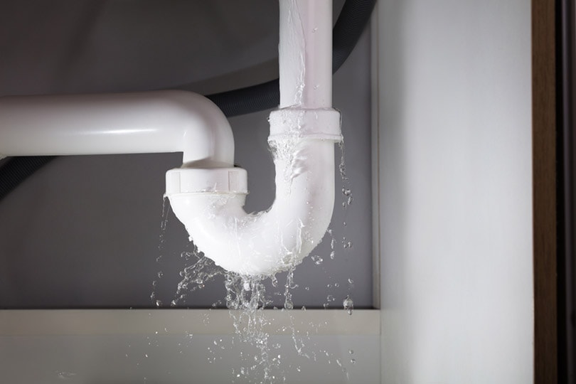 close-up of water leaking from the white sink pipe