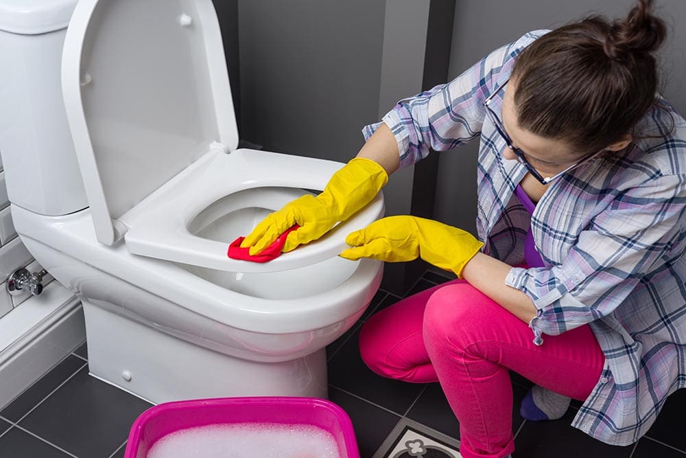 woman cleaning the toilet