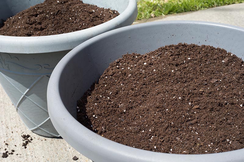 Potting soil in large gray pots