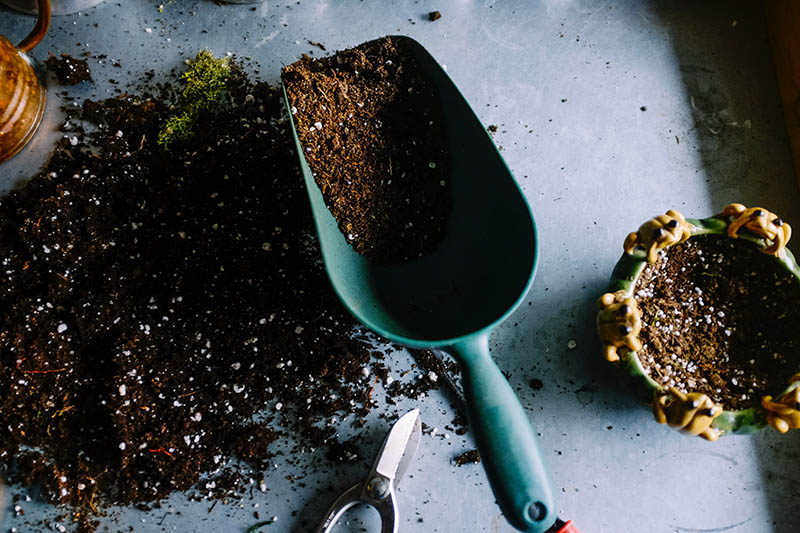 Shovel with soil