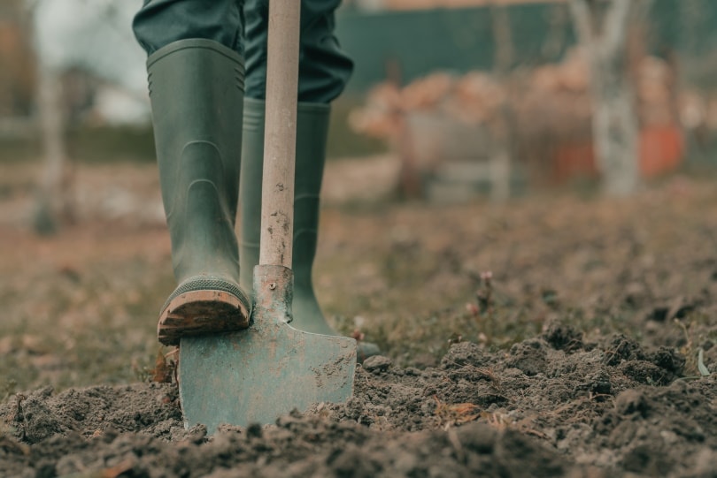 farmer using spade in the garden