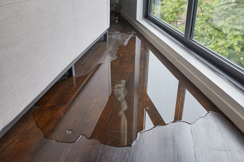 water leaking and flooded on wood parquet floor